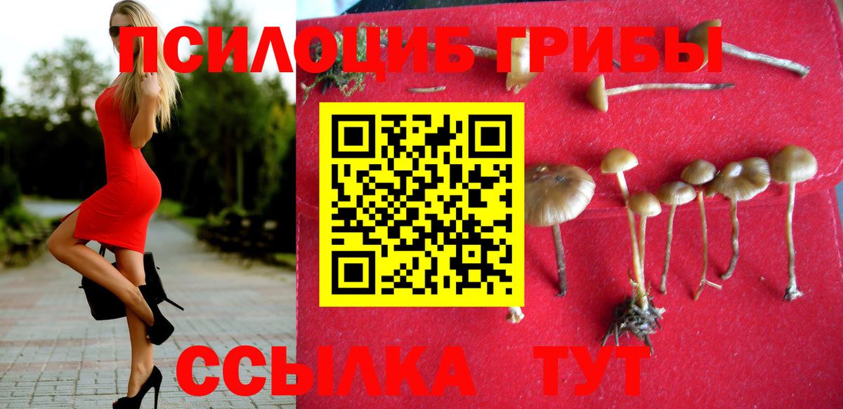 Псилоцибиновые грибы ЛСД  Галлюциногенные грибы Cubensis  Избербаш  даркнет сайт  Вход с VPN 